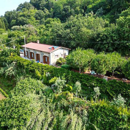 Вилла Agriturismo Le Fontane - Lago Di Bolsena Grotte di Castro Экстерьер фото