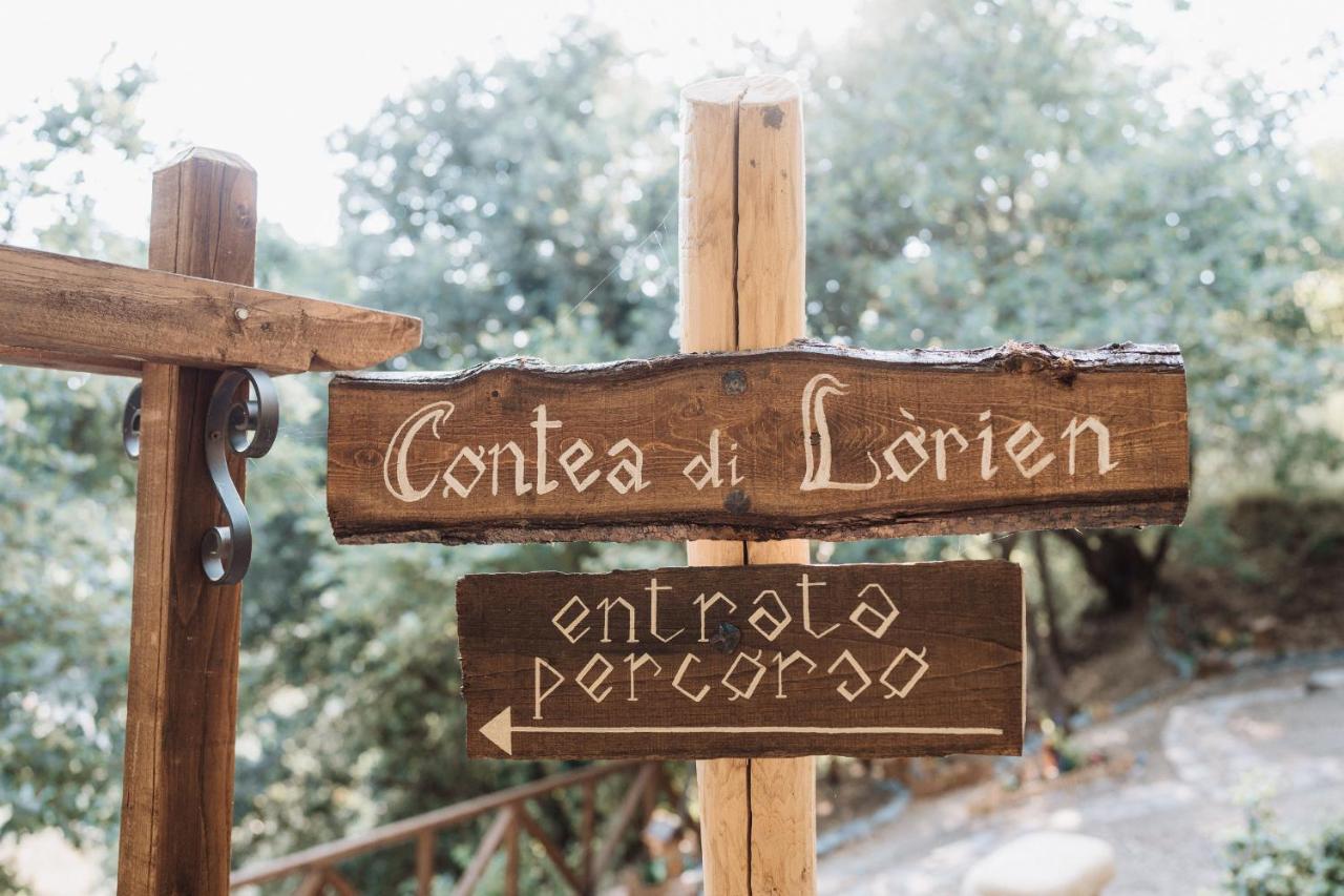 Вилла Agriturismo Le Fontane - Lago Di Bolsena Grotte di Castro Экстерьер фото