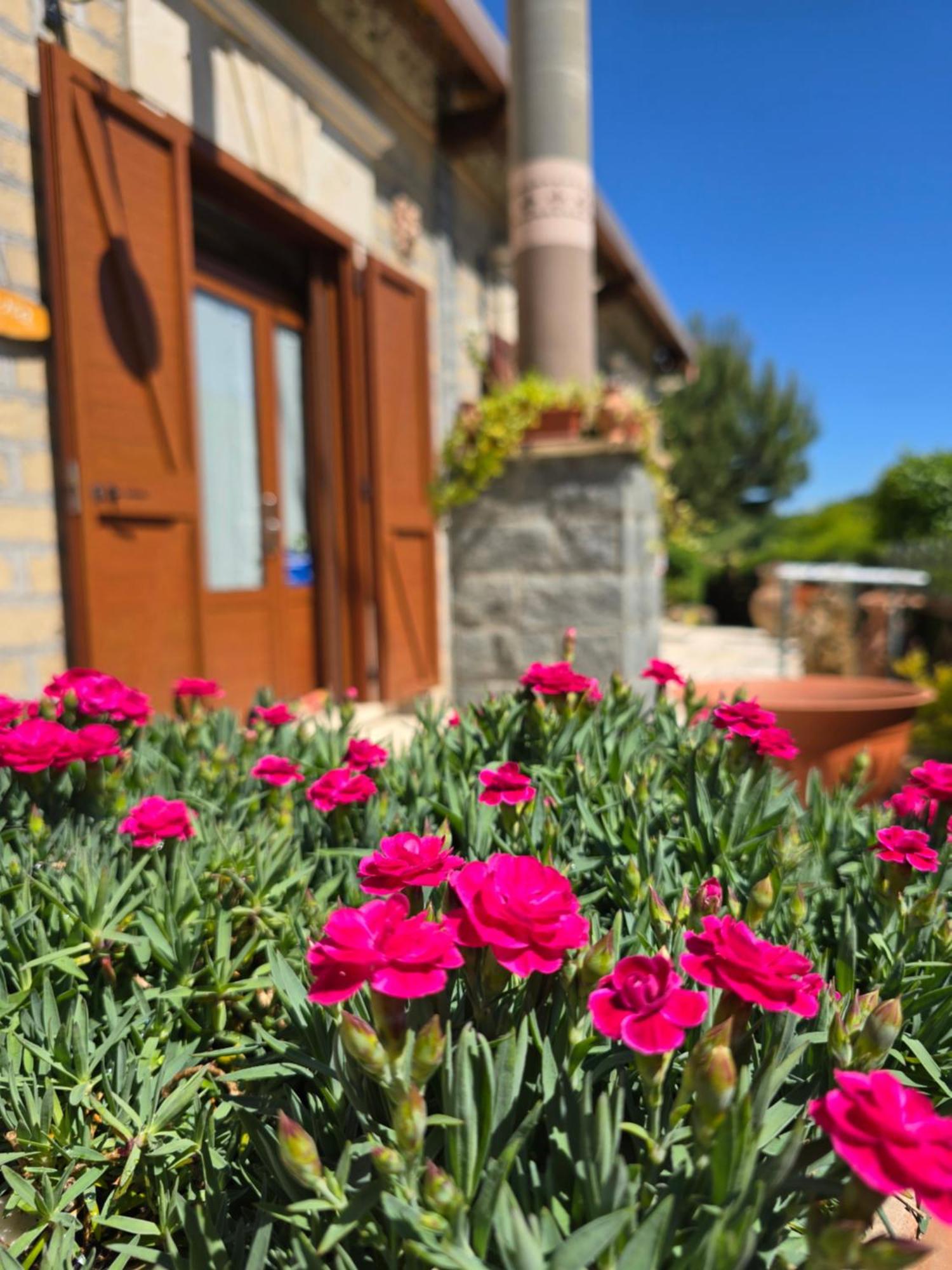 Вилла Agriturismo Le Fontane - Lago Di Bolsena Grotte di Castro Экстерьер фото